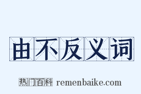 由不反义词是什么意思的图片
